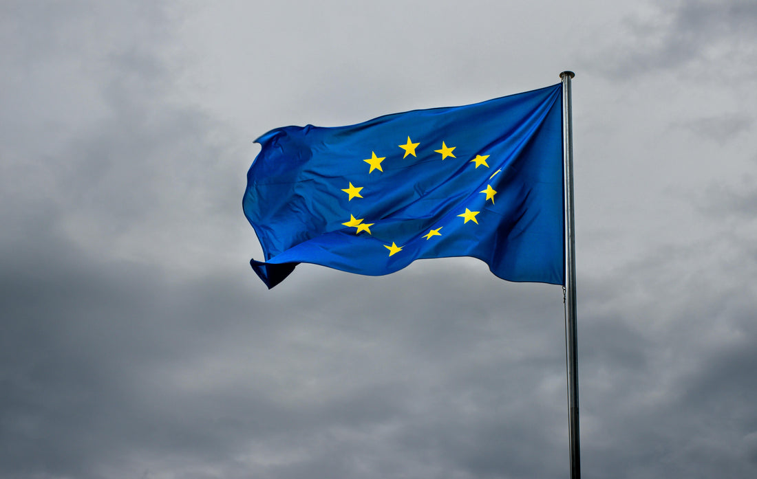 Mercosuravtalet – vad innebär det för svenskt lantbruk och konkurrenskraft?